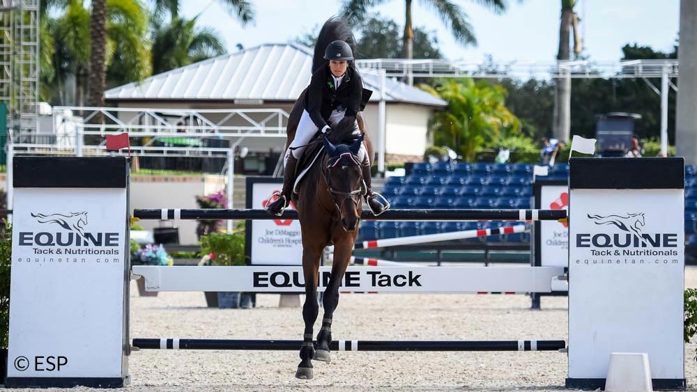 Equine Tack & Nutritionals sponsor jump WEF